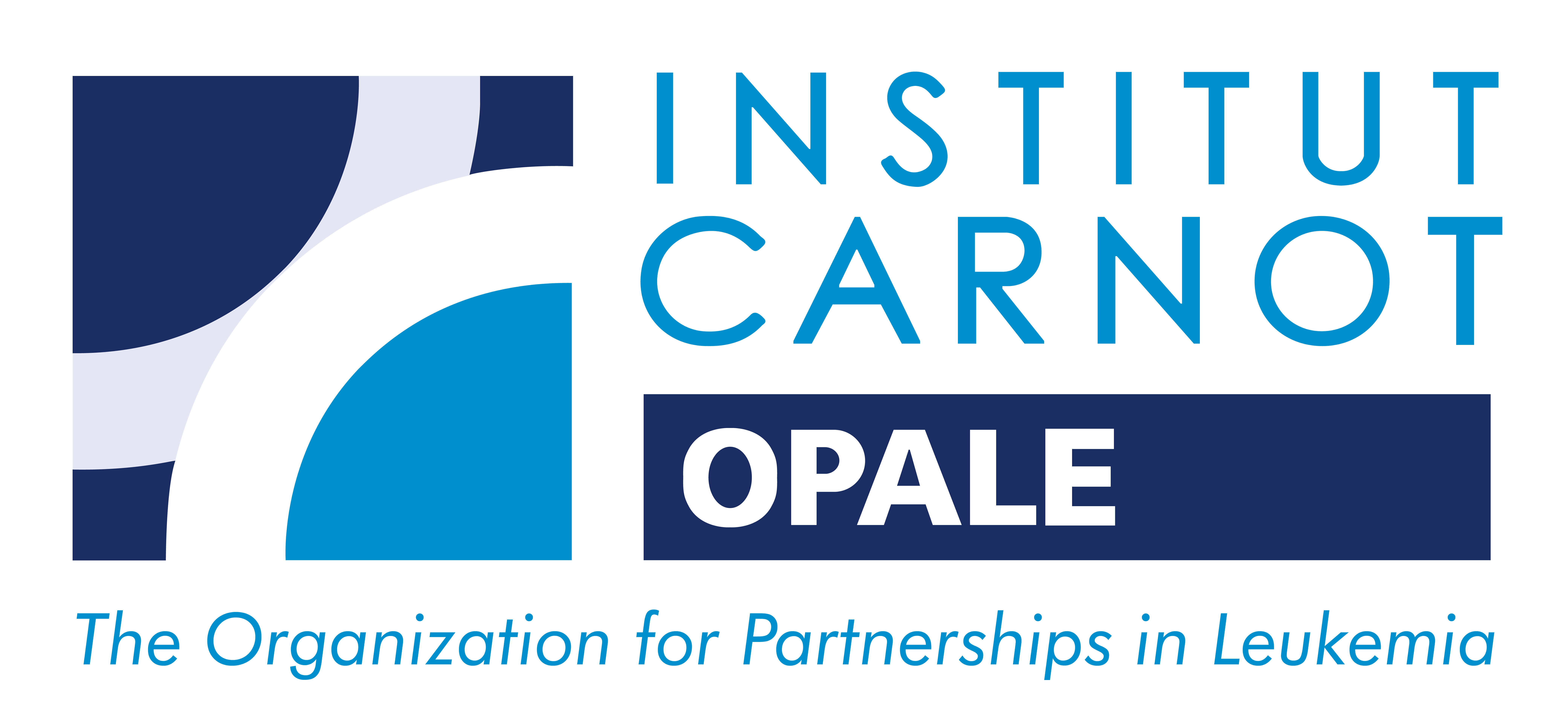 Logo2_iC_OPALE_RVB.png