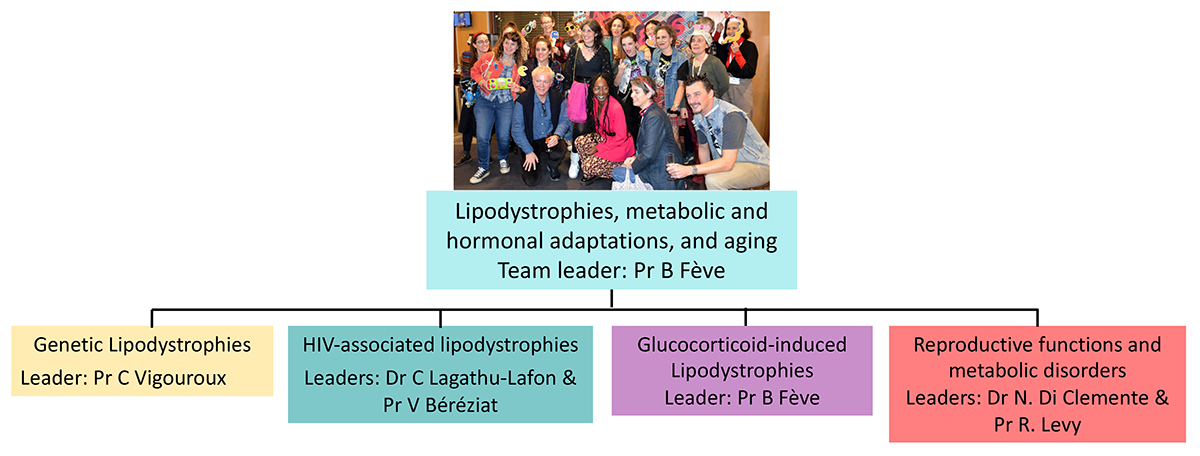 site CRSA-&eacute;quipe.png